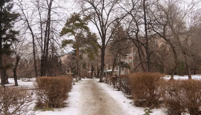 Потепление и порывистый ветер: какая погода ждет Алтайский край в выходные