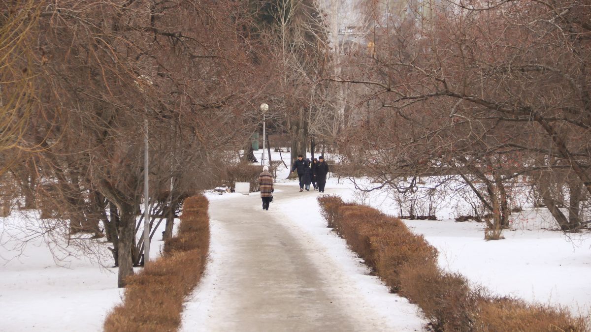 Конец осени в Барнауле