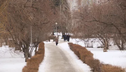 Тепло до +8 градусов и мокрый снег накроют Алтайский край: когда ждать похолодания