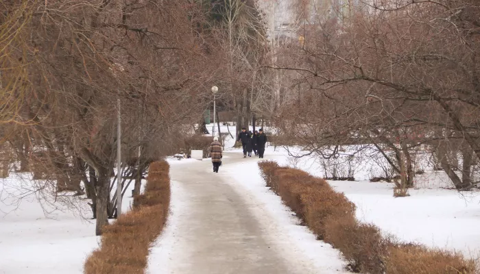 Тепло до +8 градусов и мокрый снег накроют Алтайский край: когда ждать похолодания