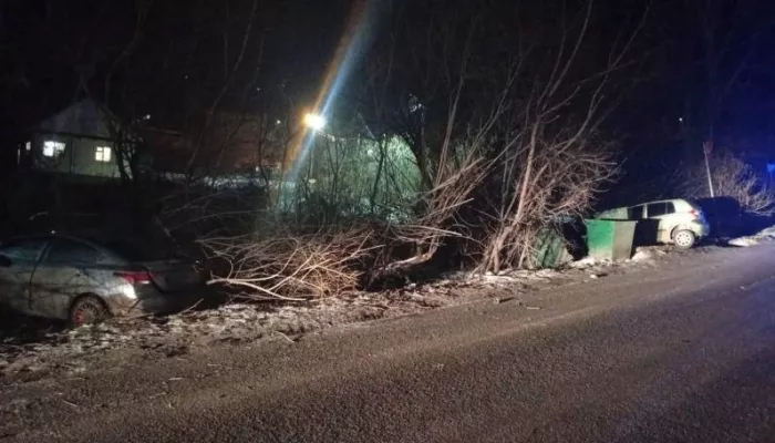 В Республике Алтай два автомобиля Hyundai не поделили дорогу и зацепили пешехода