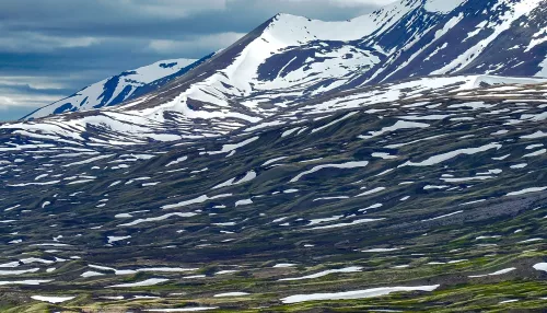 В 2026 году в селе Улаган откроют визит-центр Алтайского заповедника