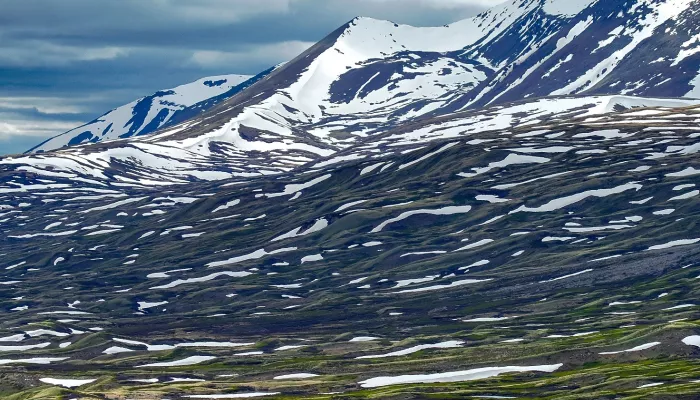 В 2026 году в селе Улаган откроют визит-центр Алтайского заповедника