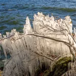 Ледяная сказка: в Алтайском заповеднике показали чарующие творения ветра и мороза