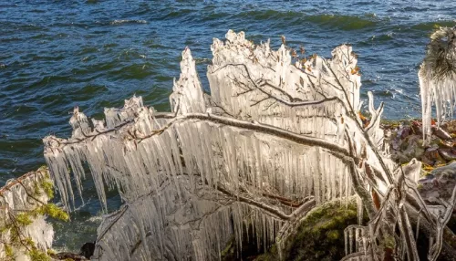 Ледяная сказка: в Алтайском заповеднике показали чарующие творения ветра и мороза