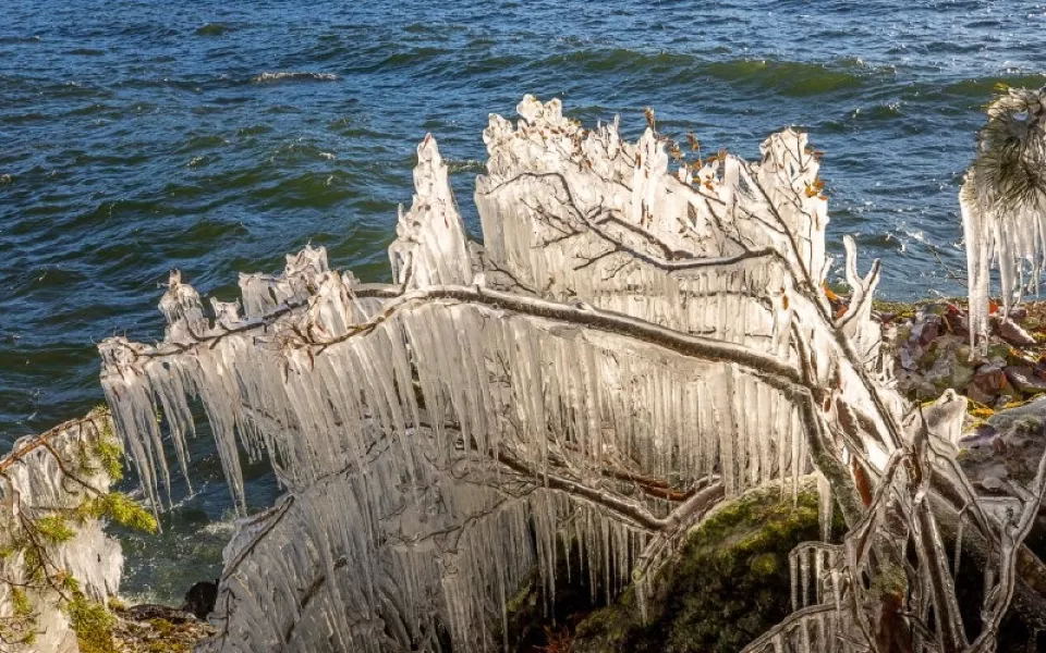 Ледяная сказка: в Алтайском заповеднике показали чарующие творения ветра и мороза