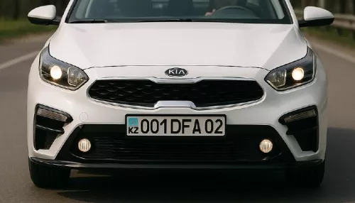 Не забудь о прописке. Кто и как долго может ездить с иностранными номерами