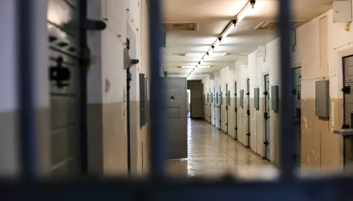 Актриса фильмов для взрослых расчленила мужа и стала женой его сына