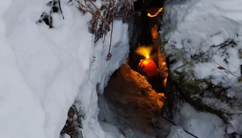 Спасатель предположил, что могло случиться с семьей Усольцевых в тайге