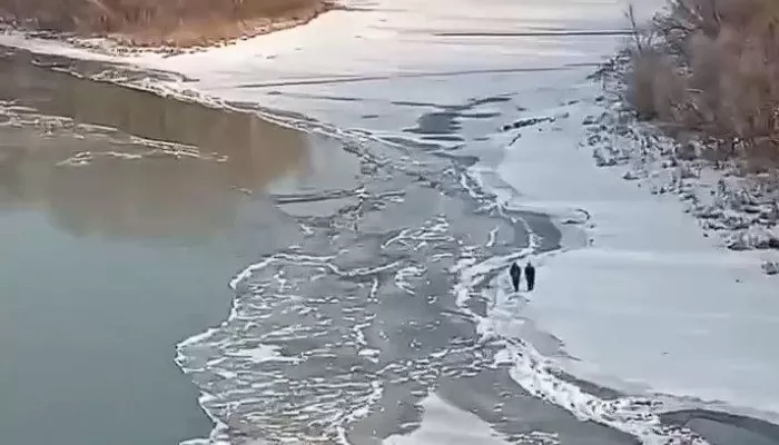 В Бийске детей заметили гуляющими по тонкому льду. Видео