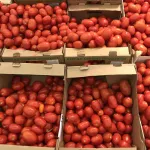 Около 12 тонн томатов не пустили из Казахстана в Алтайский край