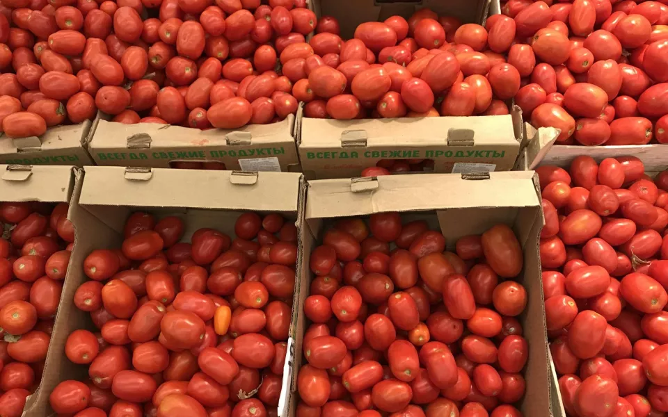 Около 12 тонн томатов не пустили из Казахстана в Алтайский край