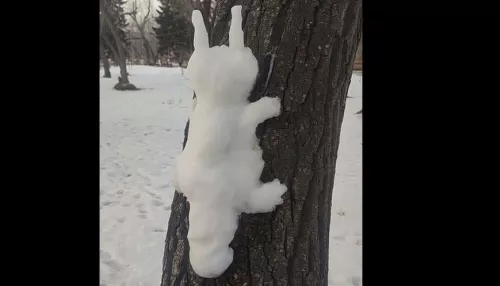 В Барнауле оживили снежную белку на дереве. Видео