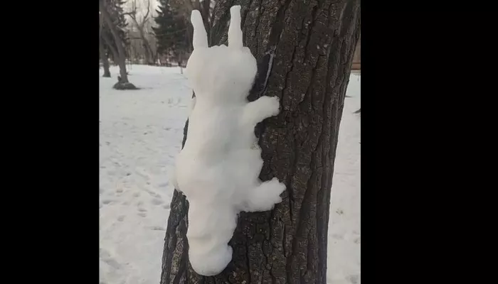 В Барнауле оживили снежную белку на дереве. Видео