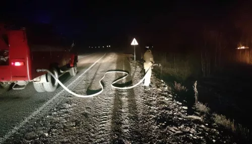 Огонь подошел к дороге: травяной пожар произошел в Алтайском крае