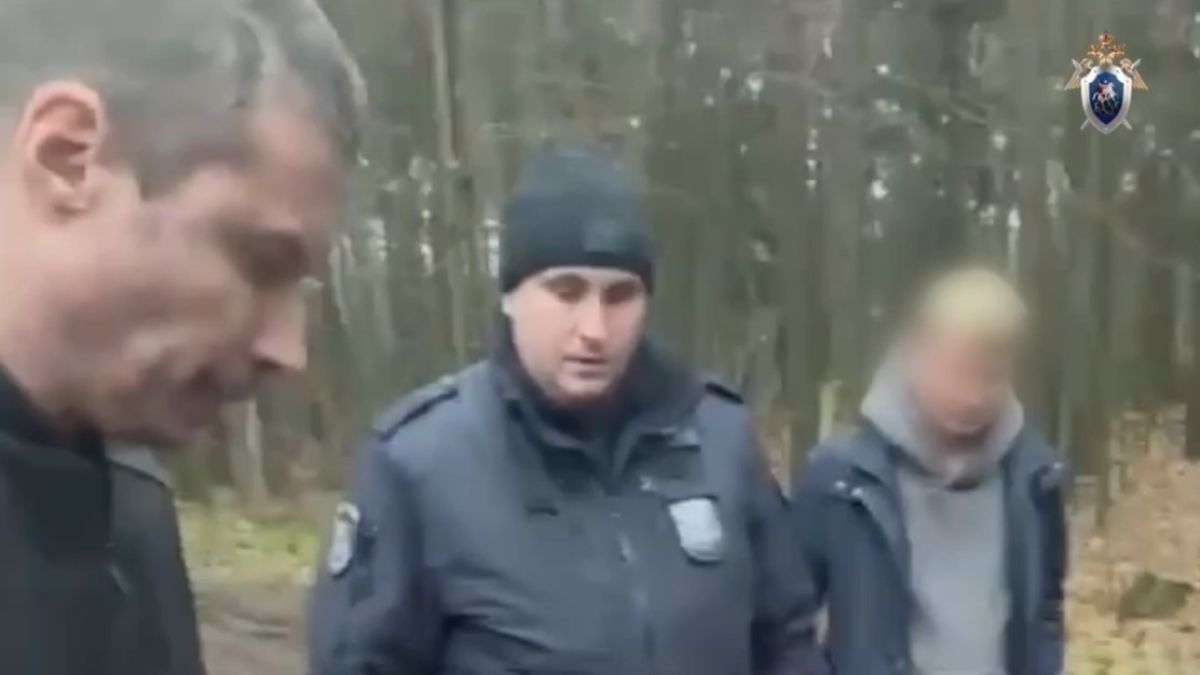 Серийный маньяк похищал нянь в Подмосковье