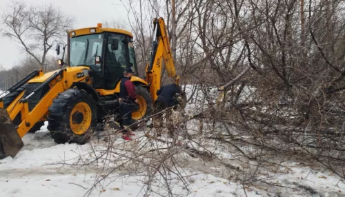 В парке имени Ленина в Барнауле продолжается реновация зеленых насаждений