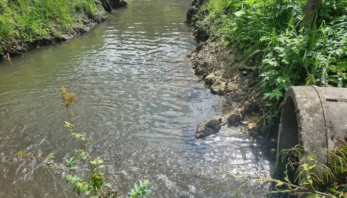 Бизнесмен нанес ручью в Республике Алтай ущерб почти на полмиллиона рублей