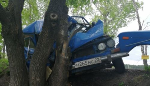 Водитель ВАЗ-2106 в Бийске погиб, врезавшись в дерево