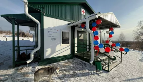 Томенко рассказал о масштабных и непростых задачах в алтайском здравоохранении