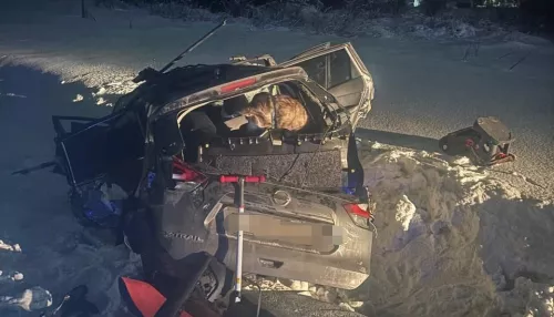 Женщина погибла в жестком столкновении автомобиля и поезда под Новосибирском