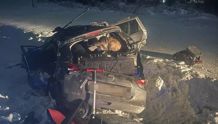 Женщина погибла в жестком столкновении автомобиля и поезда под Новосибирском