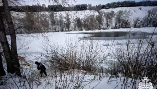 Почти сутки подо льдом: водолазы нашли погибшего ребенка на реке в Новосибирске
