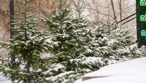 В Барнауле прошел мощный снегопад и укрыл город плотным слоем снега. Фото