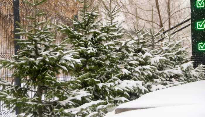 В Барнауле прошел мощный снегопад и укрыл город плотным слоем снега. Фото