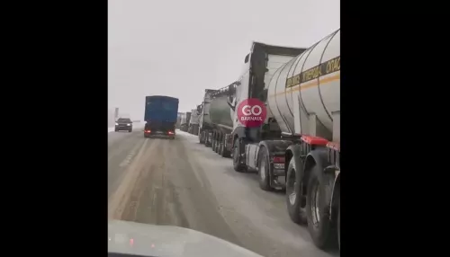 На трассе Бийск – Барнаул собралась огромная пробка из фур. Видео