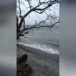 Настоящий зимний шторм: в Алтайском заповеднике засняли непогоду на Телецком озере