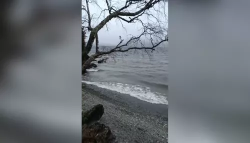 Настоящий зимний шторм: в Алтайском заповеднике засняли непогоду на Телецком озере