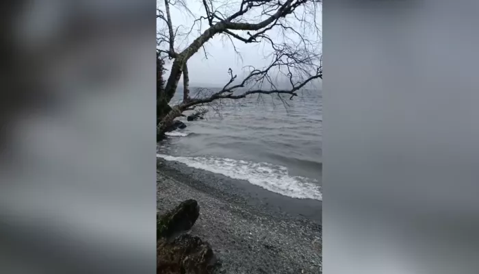Настоящий зимний шторм: в Алтайском заповеднике засняли непогоду на Телецком озере