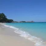 Ядовитые медузы атаковали туристов на Пхукете: пострадала россиянка