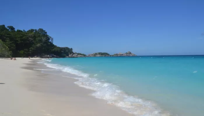 Ядовитые медузы атаковали туристов на Пхукете: пострадала россиянка