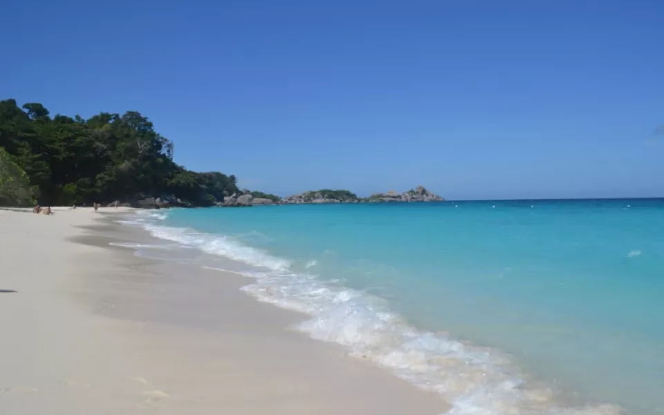 Ядовитые медузы атаковали туристов на Пхукете: пострадала россиянка