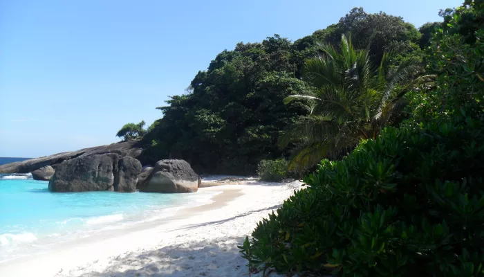 Минус месяц без визы: Таиланд пересматривает правила для российских туристов