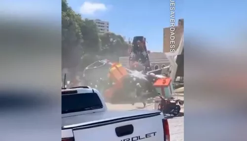 23-метровая рождественская ель насмерть придавила рабочего