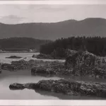 Природная сила Катуни: почему главная река Горного Алтая не покорилась энергетикам