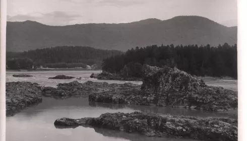 Природная сила Катуни: почему главная река Горного Алтая не покорилась энергетикам