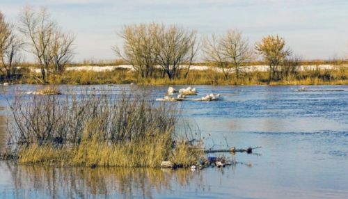 Уровень воды в реках Алтая может подняться в ближайшие дни
