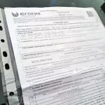 ОСАГО подорожало почти наполовину из-за мошенников