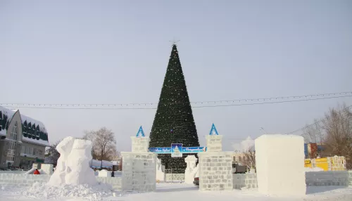 Мэрия Барнаула начала поиск организатора новогодних гуляний