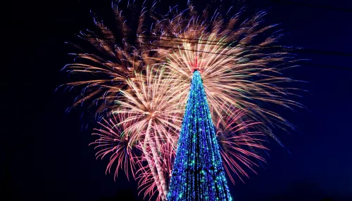 Праздничный маршрут: где в Барнауле откроют новогодние городки. Интерактивная карта