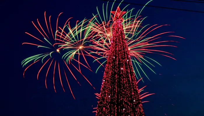 Площадь Свободы в Барнауле перекроют с 5 декабря для возведения новогоднего городка