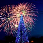 Когда наряжать елку в 2025 году? Советы психологов и эзотериков