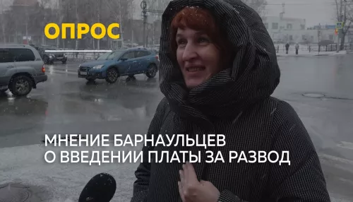 Опрос: что думают барнаульцы о штрафе в 40 тысяч за развод