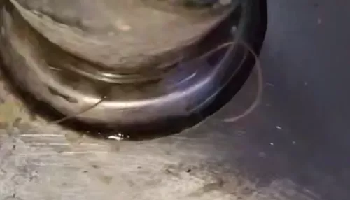 В барнаульской школе провели проверку после публикации видео с червяком в фонтанчике