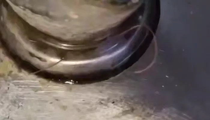 В барнаульской школе провели проверку после публикации видео с червяком в фонтанчике