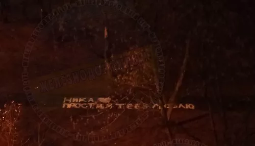 Романтик из Подмосковья оригинально признался в любви при помощи кучи листьев